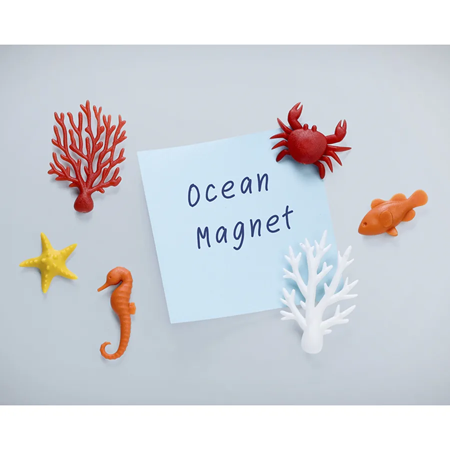 Магниты Ocean Ecology фото 2