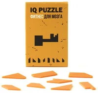 Головоломка IQ Puzzle, ключ фото 2