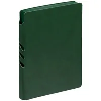 Ежедневник Flexpen Color, датированный, зеленый фото 2