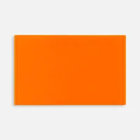 Лейбл из ПВХ Dzeta, ХL, оранжевый неон фото 2