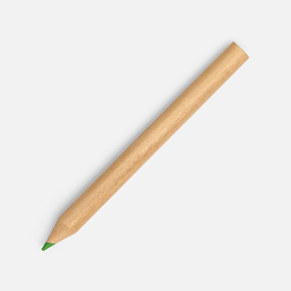 Набор цветных карандашей Pencilvania Mini, белый фото 4