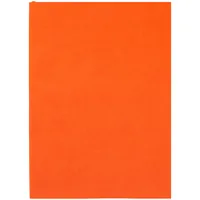 Ежедневник Flat Light, недатированный, оранжевый фото 2