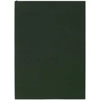 Ежедневник Flat Light, недатированный, зеленый фото 2