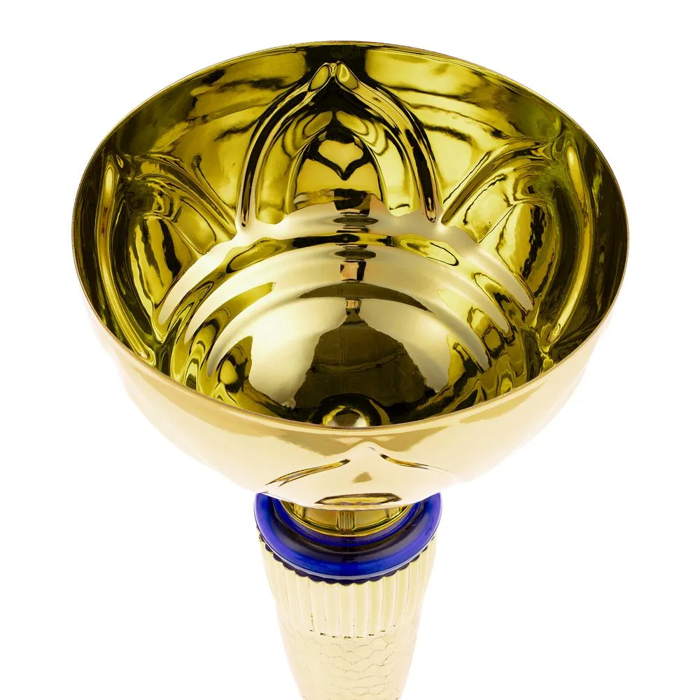 Кубок Awardee, малый, синий фото 4