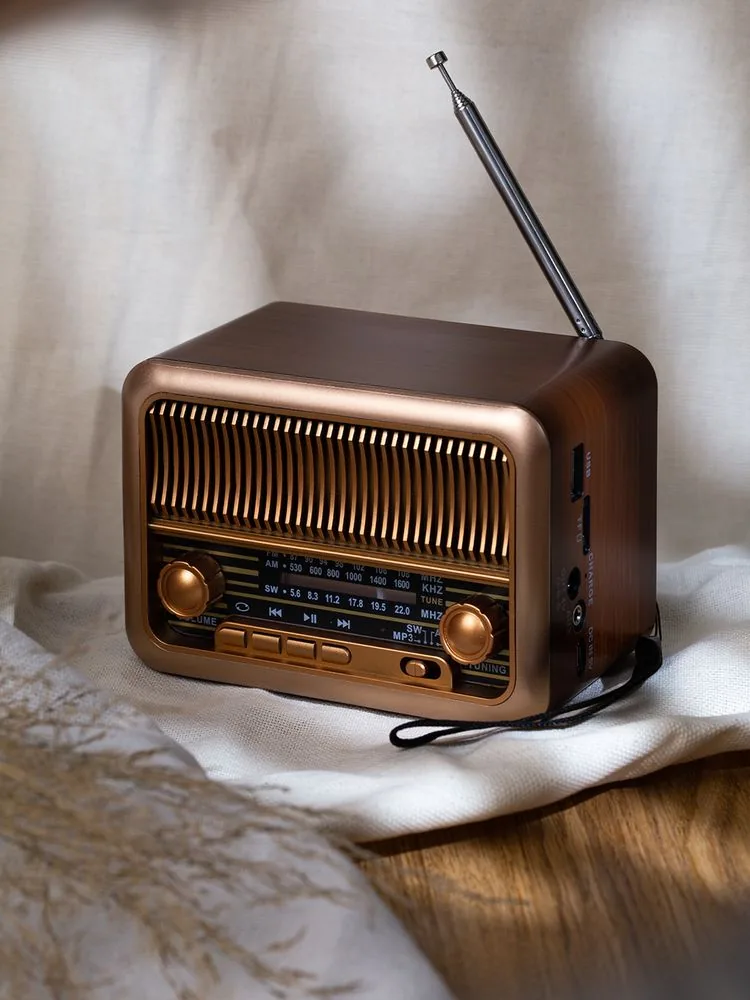 Bluetooth-колонка с радио Beatnik, коричневая фото 10