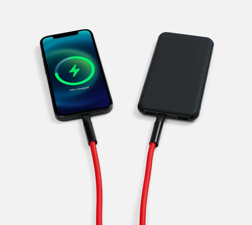 Кабель-ланьярд energyFlex Power Delivery 60 Вт, красный фото 8