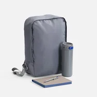Набор Flexpen Travel, серый с синим фото 2