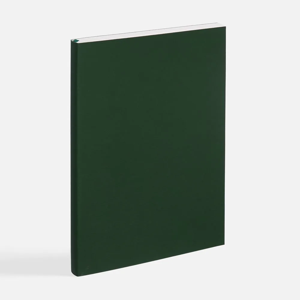 Ежедневник Flat Light ver.2, недатированный, зеленый фото 3