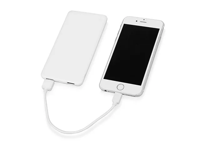 Внешний аккумулятор «Blank» с USB Type-C, 5000 mAh фото 2