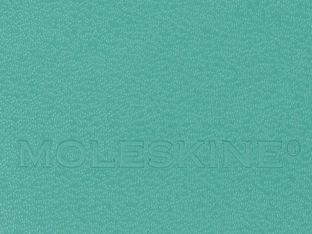 Записная книжка А5 (Large) Classic (в линейку) фото 7