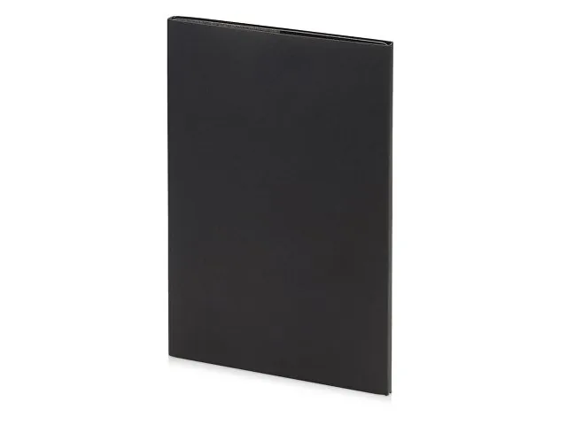Еженедельник недатированный А4 «Profy» фото 8