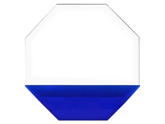 Награда «Octagon» фото 2