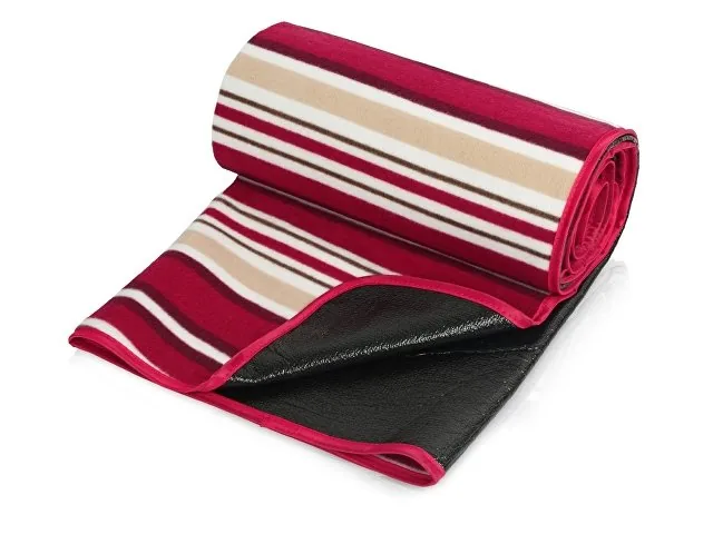 Плед для пикника «Junket» в сумке фото 2