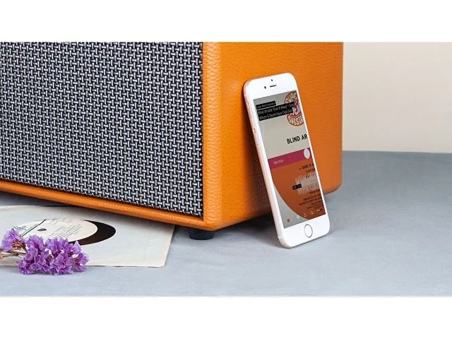 Портативная акустика «Mysound Groove» фото 11