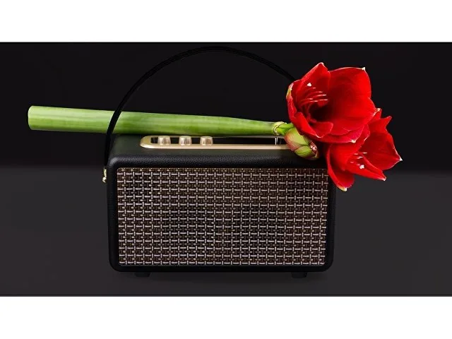 Портативная акустика «Mysound Drive» фото 8