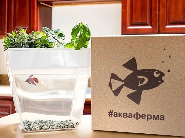 Набор для выращивания растений и ухода за рыбкой «Акваферма» фото 7