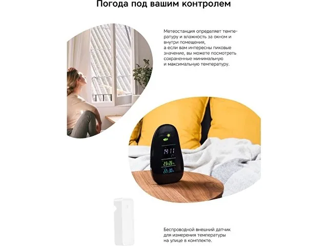 Метеостанция «StoneCast 1 WTS» фото 5