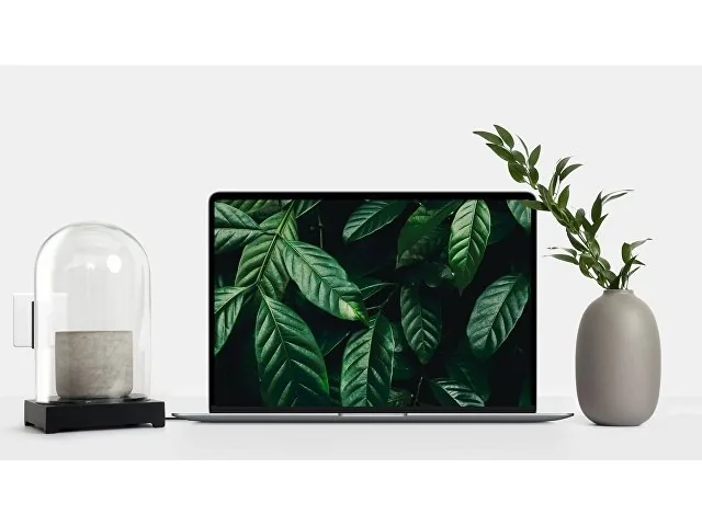 Сетевое зарядное устройство «NEO Z Type-C 60» фото 3