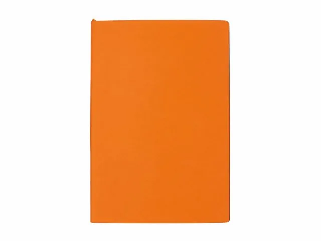 Бизнес-блокнот А5 «C1» soft-touch фото 2