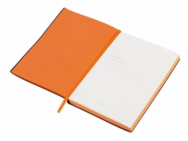 Бизнес-блокнот А5 «C1» soft-touch фото 3