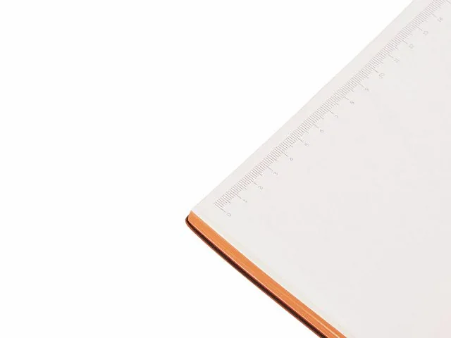 Бизнес-блокнот А5 «C1» soft-touch фото 5