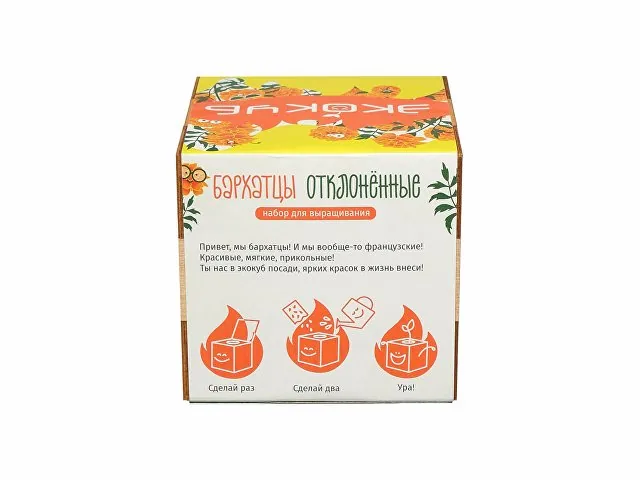 Набор для выращивания «Бархатцы» фото 4