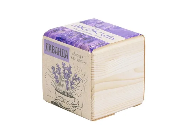 Набор для выращивания «Лаванда» фото 2