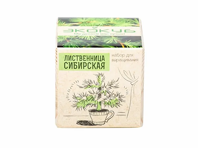 Набор для выращивания «Лиственница Сибирская» фото 3