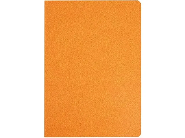 Ежедневник недатированный А5 «Megapolis Color Flex» фото 4