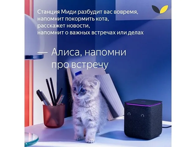 Умная колонка ЯНДЕКС Станция Миди с Алисой, с Zigbee, 24 Вт фото 18
