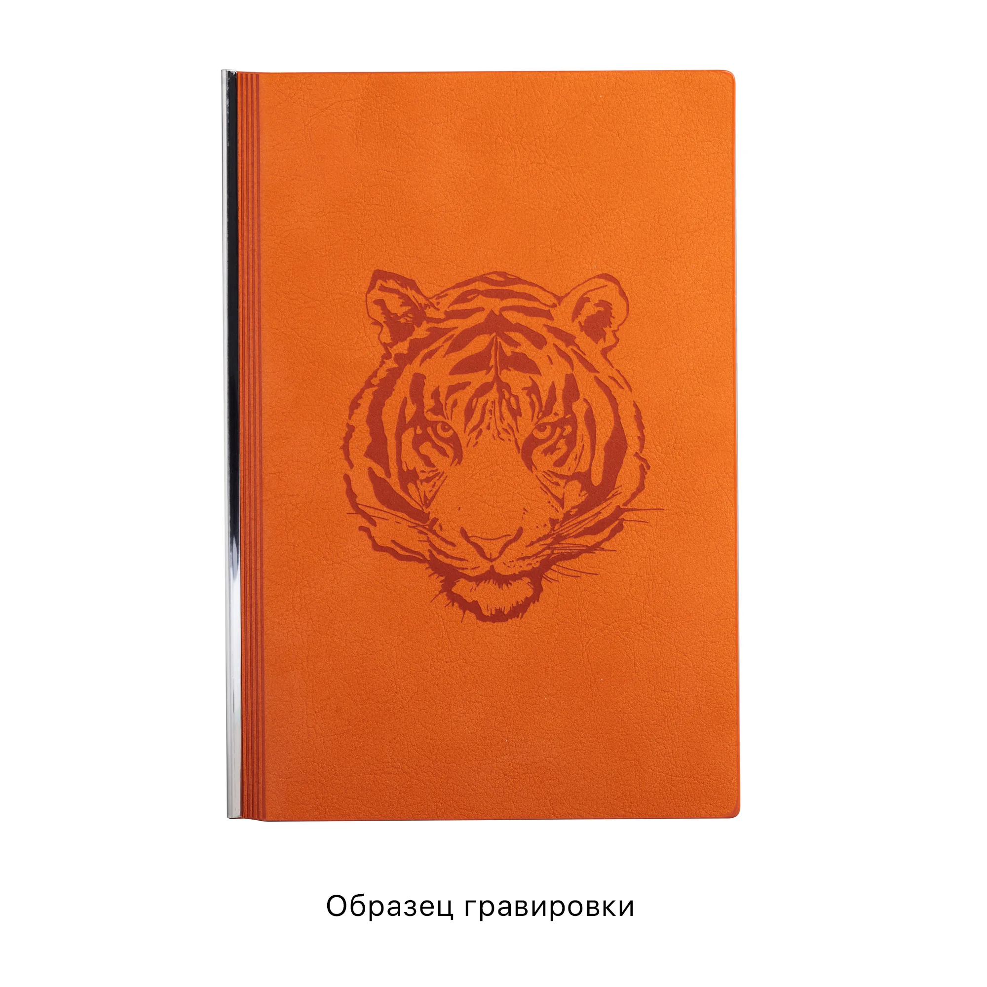 Ежедневник недатированный "Аскона", формат А5 фото 22